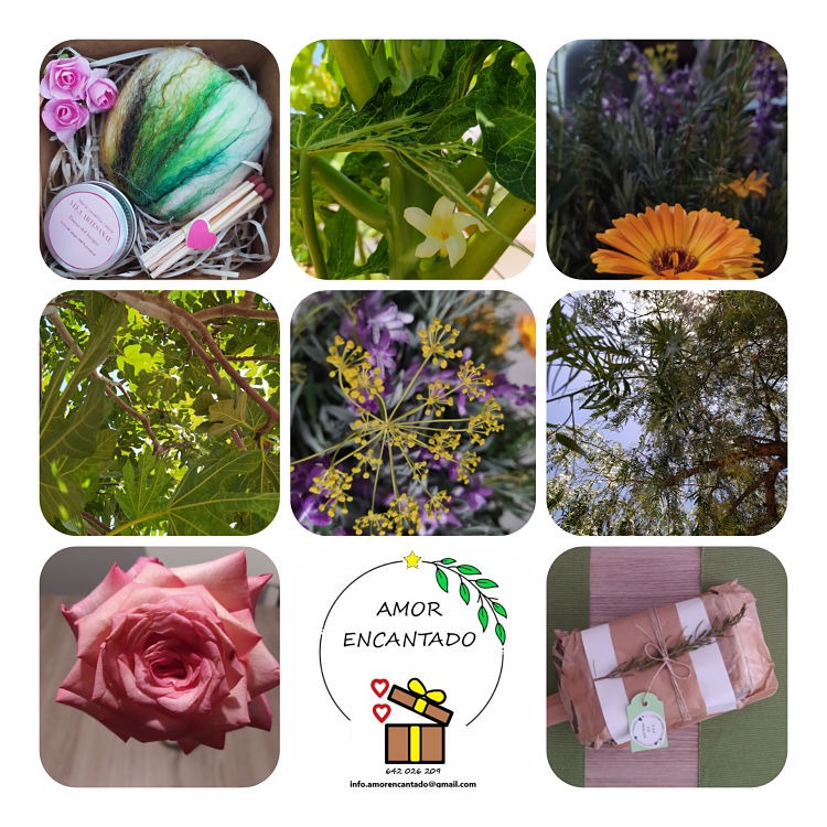 REGALOS ECOLÓGICOS | AMOR ENCANTADO